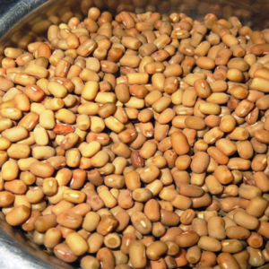 Sprouted lentils